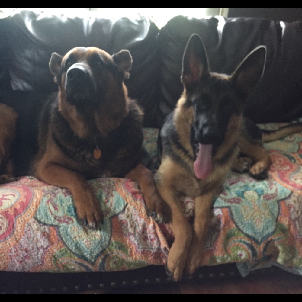 Meet your Posher, Leslie